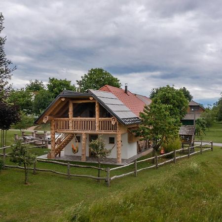 Holiday Home Virida, App Leopold III Ivancna Gorica Εξωτερικό φωτογραφία