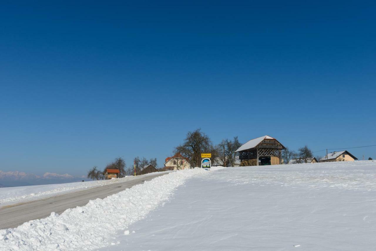 Holiday Home Virida, App Leopold III Ivancna Gorica Εξωτερικό φωτογραφία